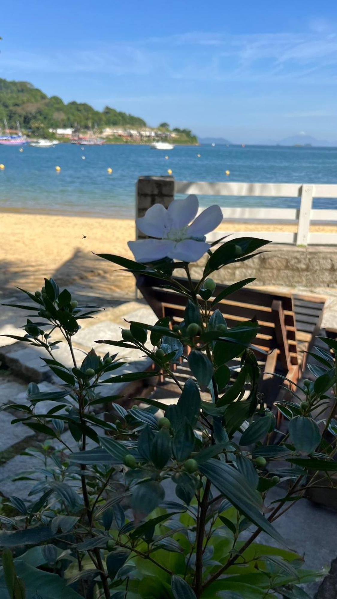 Guest House Floresta Mar Angra dos Reis Luaran gambar
