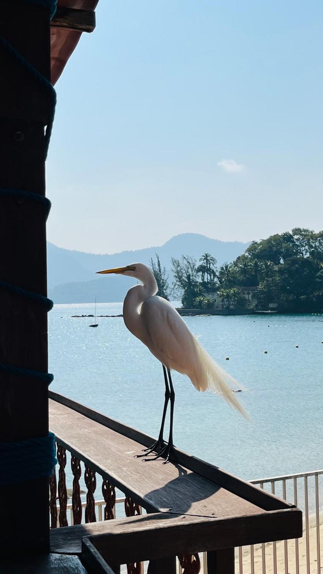 Guest House Floresta Mar Angra dos Reis Luaran gambar